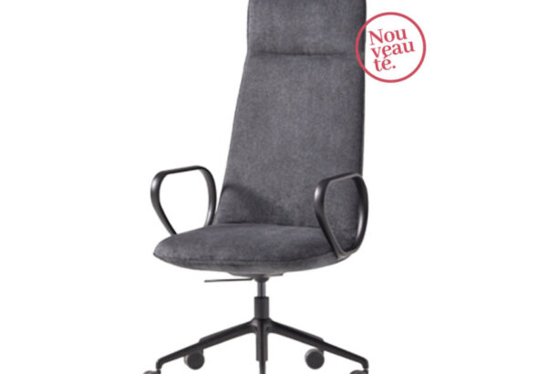 Fauteuil Elex, affichant un design moderne et épuré avec une assise ergonomique et un dossier ajustable. Ce fauteuil est conçu pour offrir un confort supérieur dans les environnements de bureau grâce à son design fonctionnel et élégant.