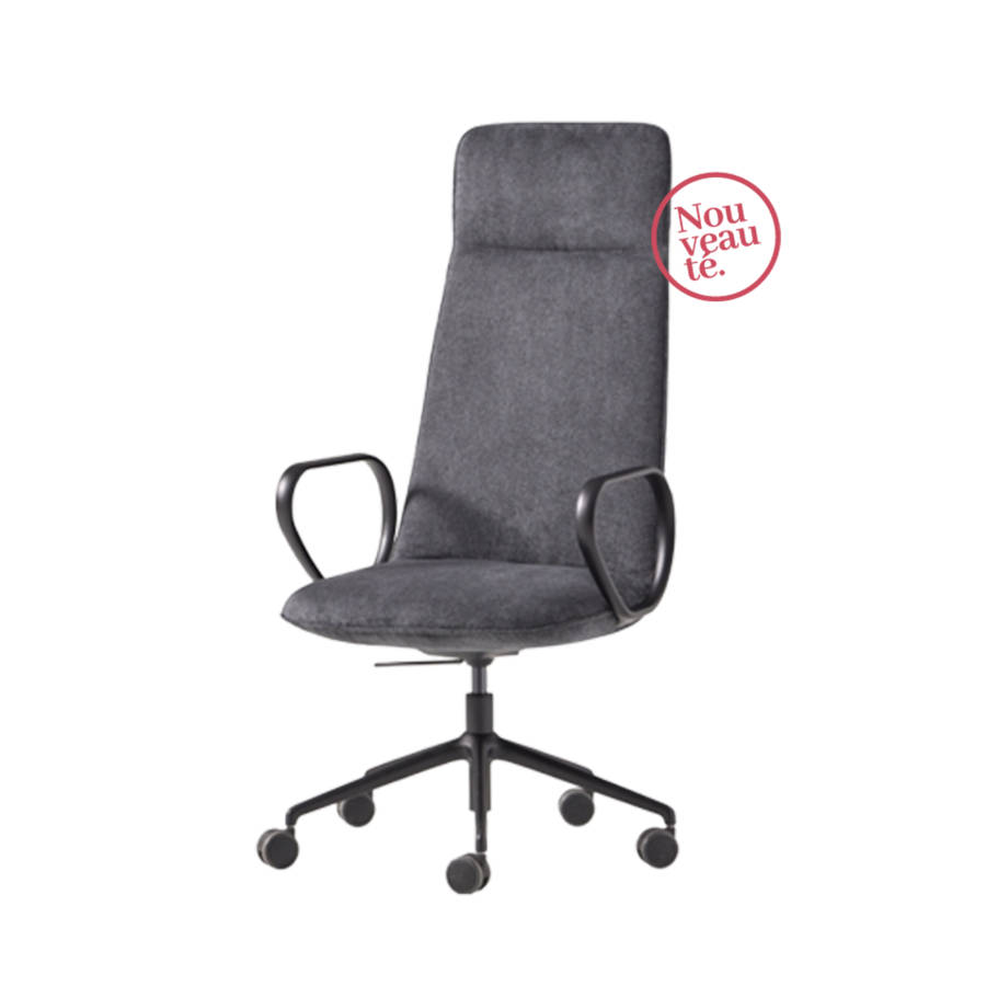 Fauteuil Elex, affichant un design moderne et épuré avec une assise ergonomique et un dossier ajustable. Ce fauteuil est conçu pour offrir un confort supérieur dans les environnements de bureau grâce à son design fonctionnel et élégant.